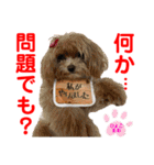 赤いりぼんの可愛い仲間達②（個別スタンプ：4）