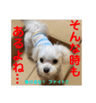 赤いりぼんの可愛い仲間達②（個別スタンプ：8）