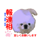 赤いりぼんの可愛い仲間達②（個別スタンプ：20）