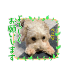 赤いりぼんの可愛い仲間達②（個別スタンプ：22）