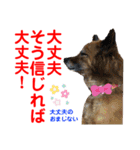 赤いりぼんの可愛い仲間達②（個別スタンプ：26）