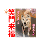 赤いりぼんの可愛い仲間達②（個別スタンプ：29）