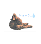 サムの一言（個別スタンプ：1）