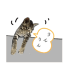 サムの一言（個別スタンプ：6）