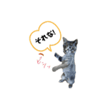 サムの一言（個別スタンプ：7）