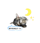サムの一言（個別スタンプ：10）
