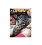 サムの一言（個別スタンプ：12）