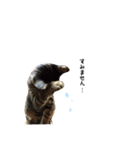 サムの一言（個別スタンプ：15）