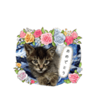サムの一言（個別スタンプ：17）