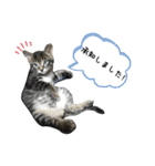サムの一言（個別スタンプ：18）