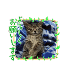 サムの一言（個別スタンプ：19）
