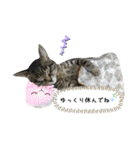 サムの一言（個別スタンプ：20）