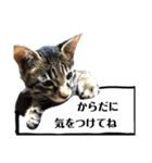 サムの一言（個別スタンプ：21）
