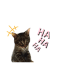 サムの一言（個別スタンプ：32）