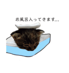 サムの一言（個別スタンプ：35）