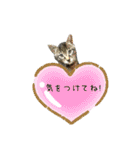 サムの一言（個別スタンプ：36）