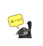 サムの一言（個別スタンプ：38）