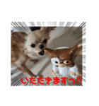 モグちゃんのスタンプっ（個別スタンプ：1）