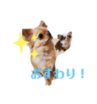 モグちゃんのスタンプっ（個別スタンプ：6）