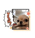 モグちゃんのスタンプっ（個別スタンプ：7）