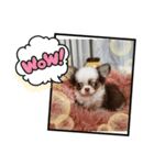 モグちゃんのスタンプっ（個別スタンプ：8）