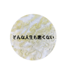 イシクラゲ(シアノバクテリア)の主張（個別スタンプ：11）