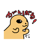 てきとうにプレーリードッグ（個別スタンプ：24）
