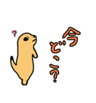 てきとうにプレーリードッグ（個別スタンプ：25）
