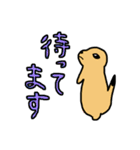 てきとうにプレーリードッグ（個別スタンプ：26）