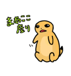 てきとうにプレーリードッグ（個別スタンプ：30）