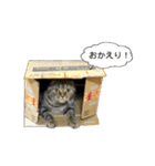 甘えたあいちゃん（個別スタンプ：1）