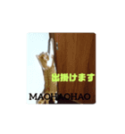 まおはおはおは言っている（個別スタンプ：1）