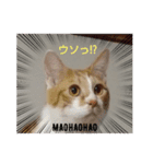 まおはおはおは言っている（個別スタンプ：7）
