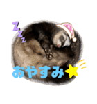 フェレットすたんぷ♪（個別スタンプ：2）