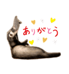 フェレットすたんぷ♪（個別スタンプ：3）
