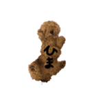 トイプードルのきらぽん（個別スタンプ：6）
