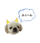 ふわもこ部（個別スタンプ：8）