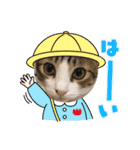 ラナ 、ダイス、マル、みーちゃん（個別スタンプ：12）
