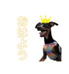 ジョミーとルゥルー（個別スタンプ：1）