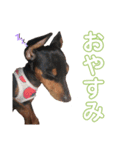 ジョミーとルゥルー（個別スタンプ：2）