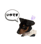 ジョミーとルゥルー（個別スタンプ：4）