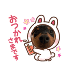 ジョミーとルゥルー（個別スタンプ：6）