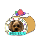 やんちゃなヨーキーちゃん（個別スタンプ：5）