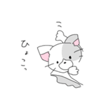 白いねこと黒いイヌ（個別スタンプ：25）