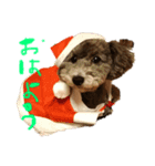 ココピース（個別スタンプ：2）