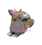 飼い猫1号ちゃん（個別スタンプ：7）