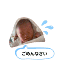 我が家のボスタンプ 3（個別スタンプ：8）