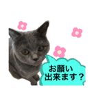 ブブブブブリティッシュ 改（個別スタンプ：23）