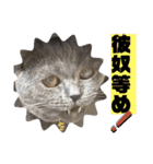 ブブブブブリティッシュ 改（個別スタンプ：26）