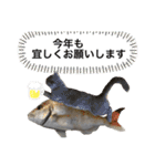 ブブブブブリティッシュ 改（個別スタンプ：31）